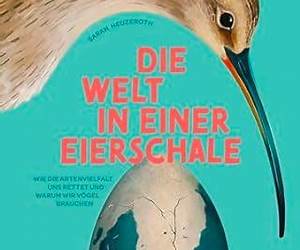 Die Welt in einer Eierschale