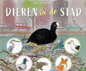 Dieren in de stad