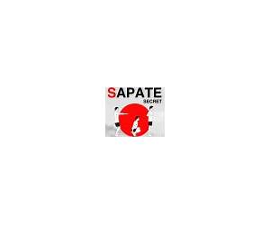 Discover Sapate Secret: One Exercise,Transform Your Body with Pure High-Energy! Decode the Thrill of this unique exercise for Building Muscle, Burning Fat, and Transforming Your Body!