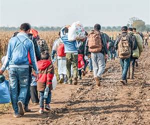 Displaced: Civilians in the Russia-Ukraine War