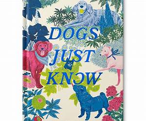 Dogs Just Know