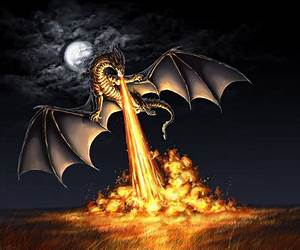 Dragon Fire: Reverse Harem Romance (Dragon Protection Book 1) Dragon Fire: Reverse Harem Romance (Dragon Protection Book 1)