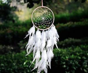 Dream Catcher Dream Catcher
