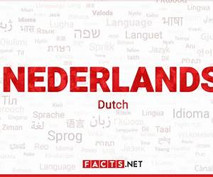 Dutch #1