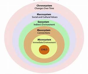Ecological Psychology (Elements in Perception)