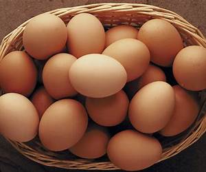Eggs: The Best Recipes in the World: (Culinary Journey: Discovering the Enchantment of Eggs in Kitchens Across the Planet)