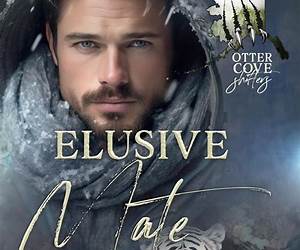Elusive Mate Elusive Mate