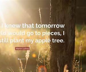 Even Tomorrow Still