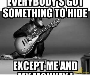 Everyone Has Something to Hide Everyone Has Something to Hide