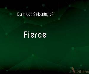 FIERCE: My Fight For Nothing Less FIERCE: My Fight For Nothing Less