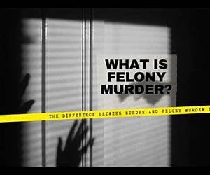 Felony Murder: A C.o.P. on the Scene Mystery (The C.o.P. on the Scene Mysteries Book 4)