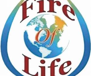 Fire of Life (Axis Mundi, #2) Fire of Life (Axis Mundi, #2)