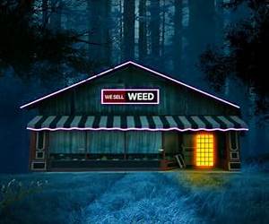 Florida Man's General Store in Cultivation World:Book1 Florida Man's General Store in Cultivation World:Book1