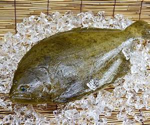Flounder, Flounder, In the Sea: A Grimm Imagination Book Flounder, Flounder, In the Sea: A Grimm Imagination Book