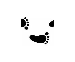 Footprints Footprints