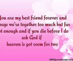 Forever Your Best Friend (The O'Connors Of Blossom Ford, #8)