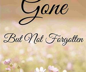 Forgotten Forgotten