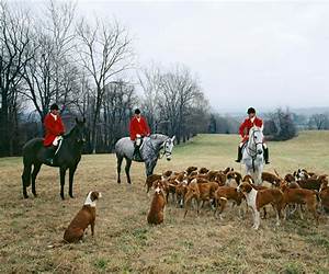 Fox Hunt: a Creature Feature Horror Fox Hunt: a Creature Feature Horror
