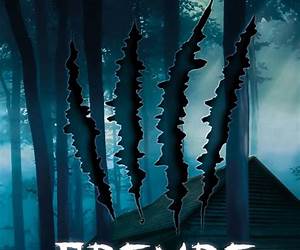 Fremde HautJagd auf Nebel und Schatten (German Edition)