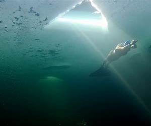 From Beneath the Ice: A tale of struggle and triumph with PTSD and mental illness
