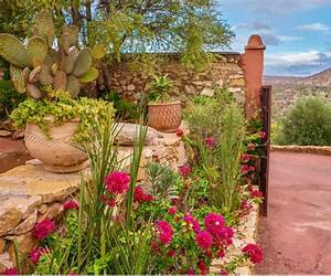 Gardens in the Desert