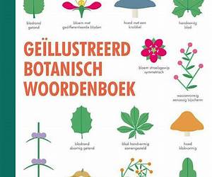 Geïllustreerd Botanisch Woordenboek Geïllustreerd Botanisch Woordenboek