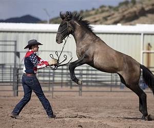 Getting Tamed: Female Veterinarian at a Lesbian Ponygirl Ranch Getting Tamed: Female Veterinarian at a Lesbian Ponygirl Ranch