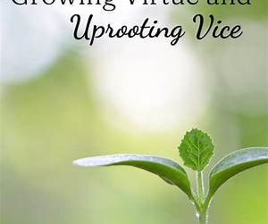 Growing in Virtue, One Vice at a Time: With a Crabby Mystic