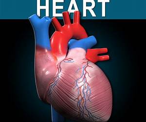 HEART: La Musica Del CuoreParte 1 (Italian Edition) HEART: La Musica Del CuoreParte 1 (Italian Edition)