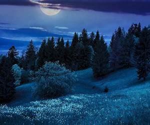 Heaven in the Moonlight: A friends to lovers, edge of your seat, action packed romance (Pearl Lake the Series)