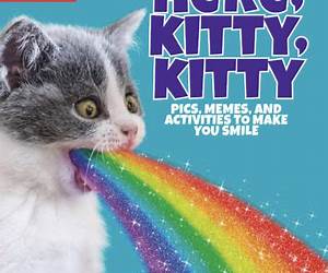 Here Kitty, Kitty Here Kitty, Kitty