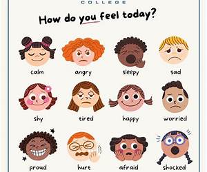 How Do You Feel?: One Doctor's Search for Humanity in Medicine