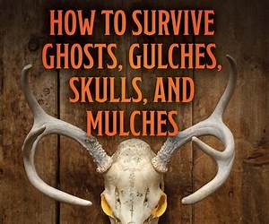 How To Survive Ghosts, Graves, Stars and Knaves: A Delia Sanchez Mystery
