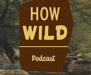 How Wild Are We (Haven's Point Book 1) How Wild Are We (Haven's Point Book 1)
