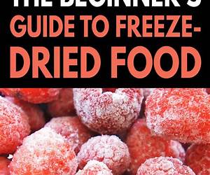 How to Freeze-Dry for Beginners: An Essential Cookbook Guide to Food Preserving, Drying Techniques and Recipes for Beginners and Beyond (Cookbook for Beginners and Beyond) How to Freeze-Dry for Beginners: An Essential Cookbook Guide to Food Preserving, Drying Techniques and Recipes for Beginners and Beyond (Cookbook for Beginners and Beyond)