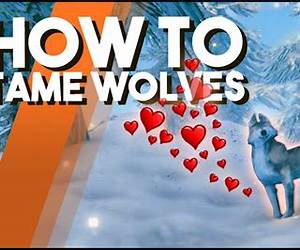How to Tame a Feral Wolf (Neutral Ground Book 3)