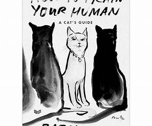 How to Train Your Human: A Cat's Guide How to Train Your Human: A Cat's Guide
