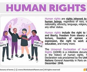 Human Rights, Robot Wrongs: Being Human in the Age of AI