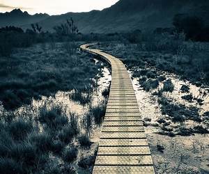 Hunt The Straight Path Home (Hunt the Path Home Book 1) Hunt The Straight Path Home (Hunt the Path Home Book 1)