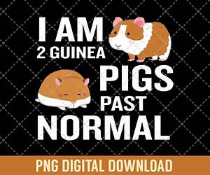 I AM A GUINEA PIG: Whisky's Journal