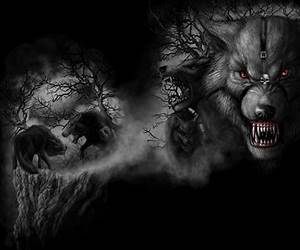 IN THE WOODSTHE ALPHA WOLF: A Monster Clinic Short IN THE WOODSTHE ALPHA WOLF: A Monster Clinic Short