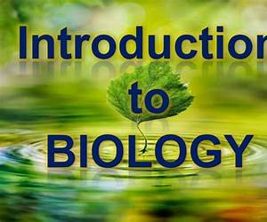 INTRODUCTION TO BIOLOGY INTRODUCTION TO BIOLOGY