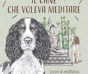 Il cane che voleva meditare (Italian Edition)