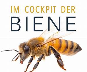 Im Cockpit der Biene: Wie sie denkt, fühlt und Probleme löst (German Edition) Im Cockpit der Biene: Wie sie denkt, fühlt und Probleme löst (German Edition)