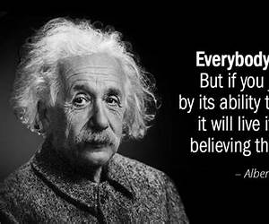 I'm a Genius....Just ask me!: A Common Man's thoughts on Personal Finance and Investing in the Stock Market