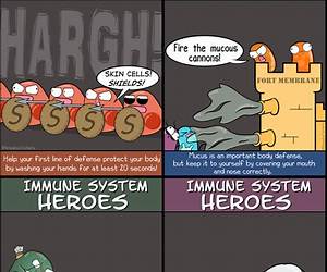 Immune Heroes: A science adventure with a twist!