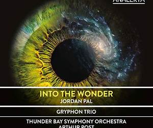 Into the Wonder Into the Wonder
