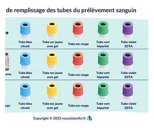 JötunnFrères de sang (French Edition)