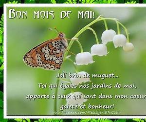 Joli mois de mai