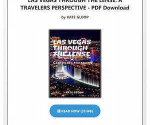 LAS VEGAS THROUGH THE LENSE : A TRAVELERS PERSPECTIVE LAS VEGAS THROUGH THE LENSE : A TRAVELERS PERSPECTIVE